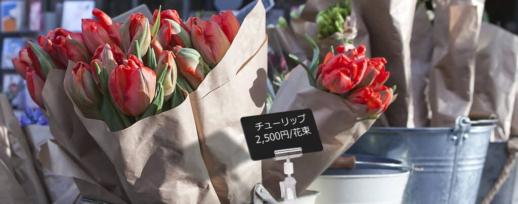 rote Tulpen und blaue Hyazinthen